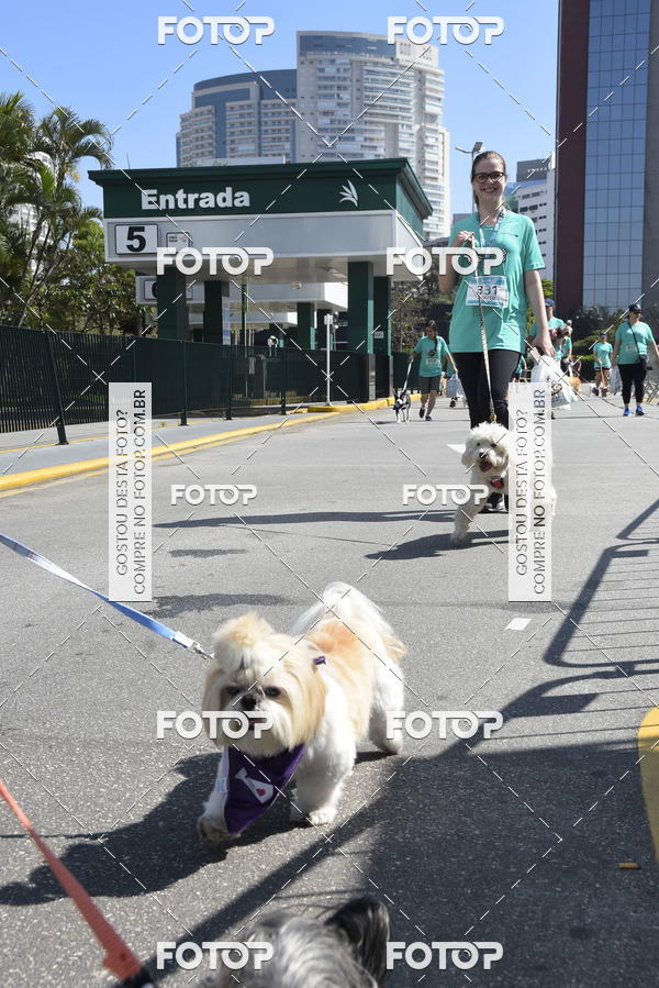 Buy your photos of the event2� Pet Run Shopping Eldorado  on Fotop
