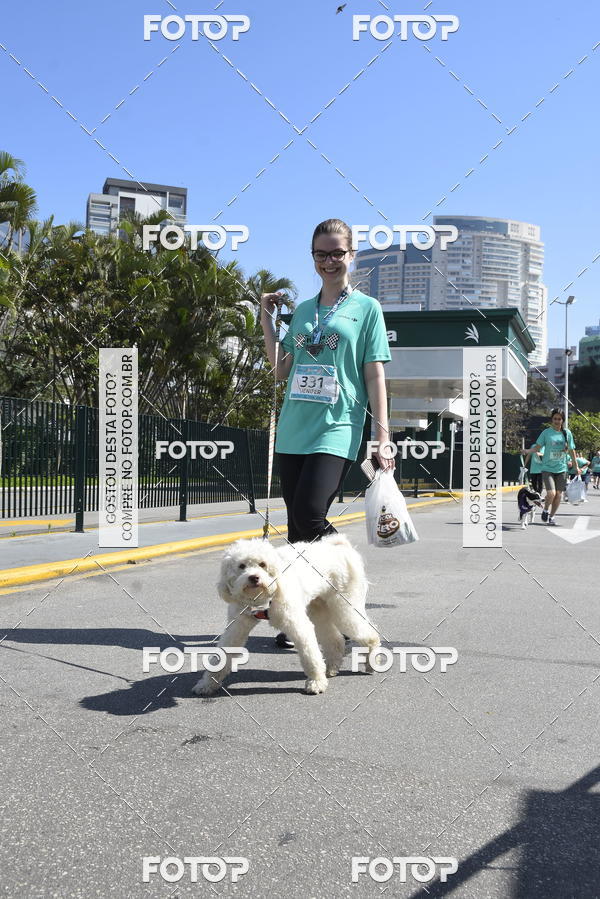 Buy your photos of the event2� Pet Run Shopping Eldorado  on Fotop