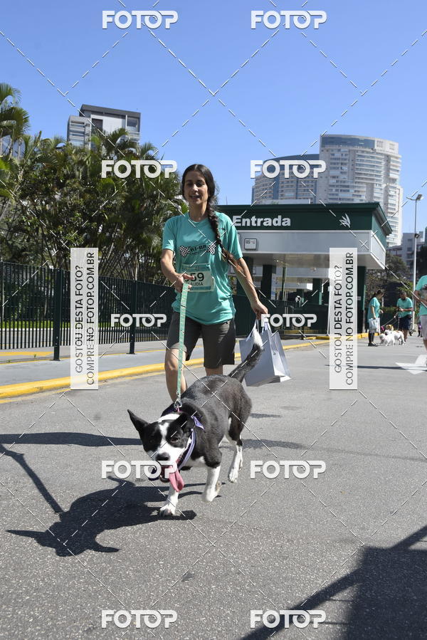 Buy your photos of the event2� Pet Run Shopping Eldorado  on Fotop