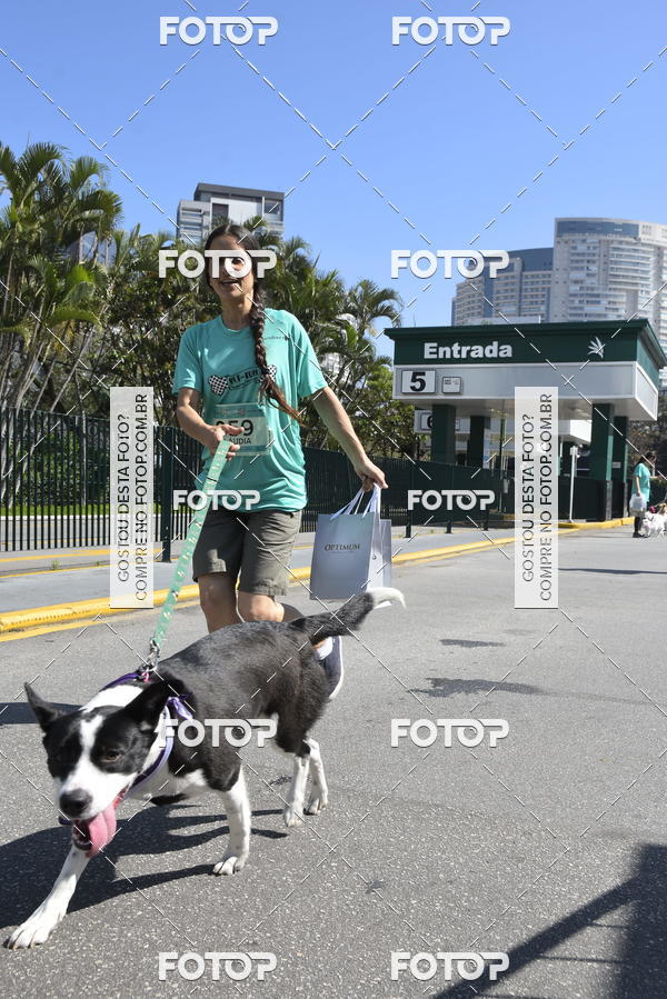 Buy your photos of the event2� Pet Run Shopping Eldorado  on Fotop