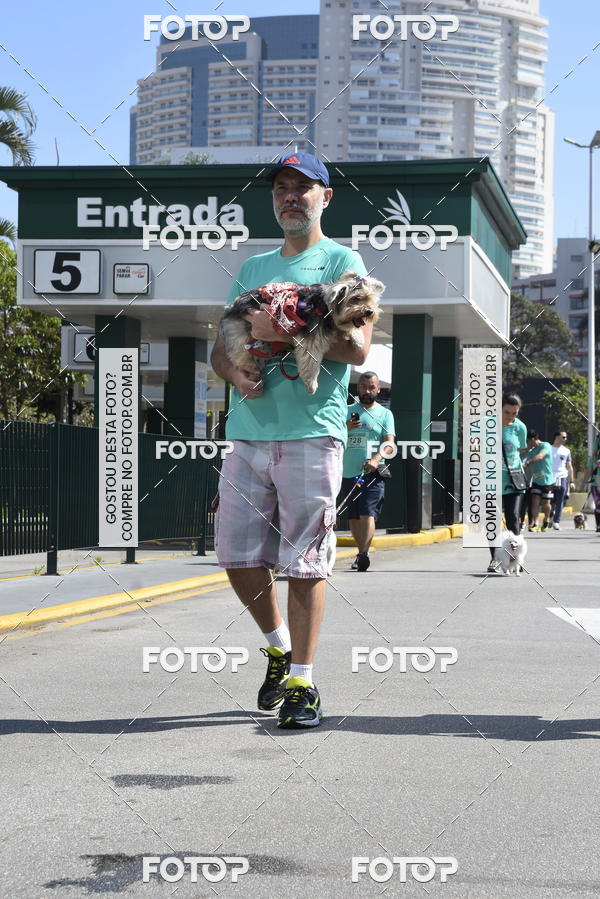 Buy your photos of the event2� Pet Run Shopping Eldorado  on Fotop