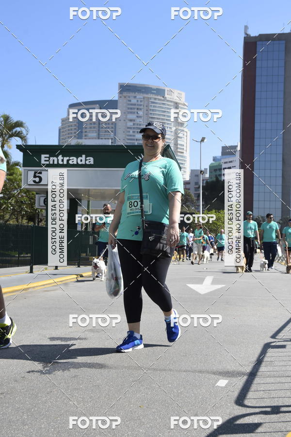 Buy your photos of the event2� Pet Run Shopping Eldorado  on Fotop