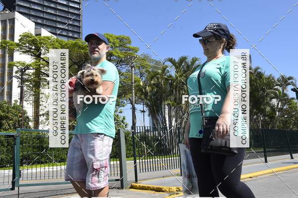 Buy your photos of the event2� Pet Run Shopping Eldorado  on Fotop