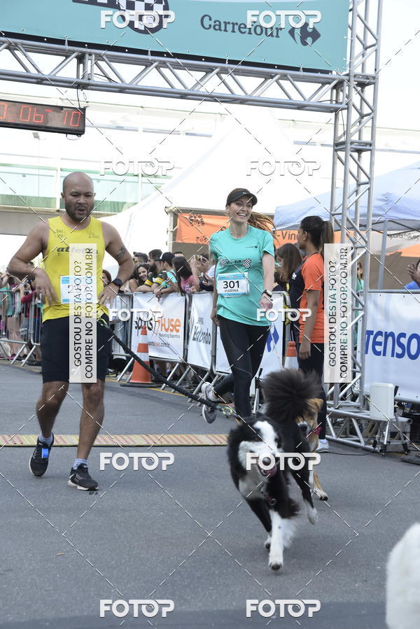 Acquista le foto dell'evento2 Pet Run Shopping Eldorado  in Fotop