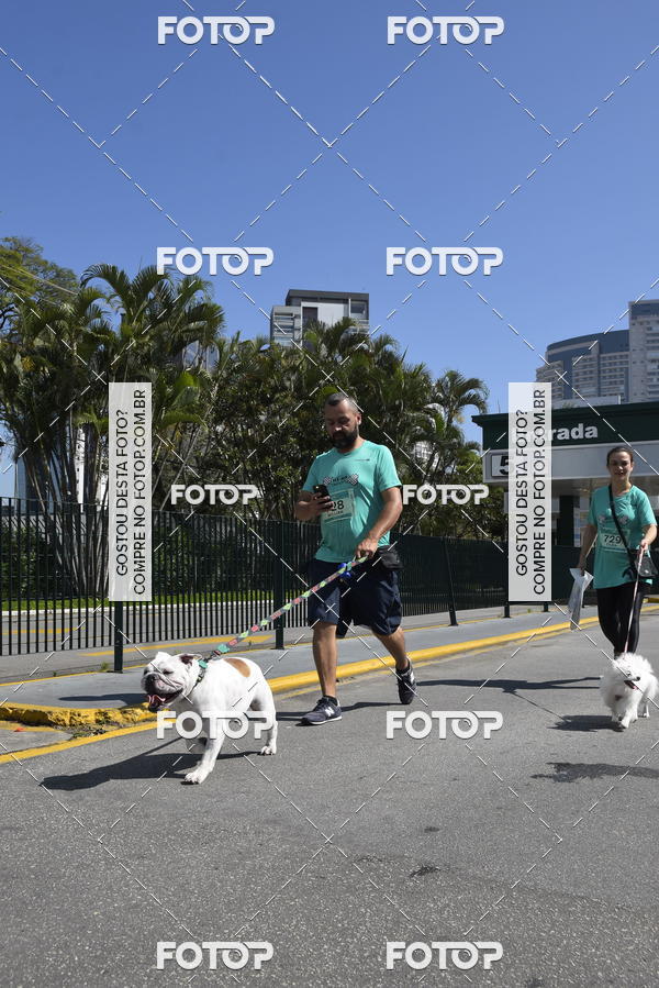 Buy your photos of the event2� Pet Run Shopping Eldorado  on Fotop
