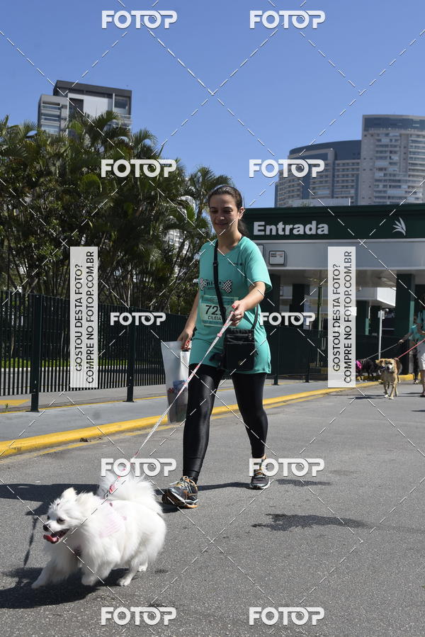 Buy your photos of the event2� Pet Run Shopping Eldorado  on Fotop