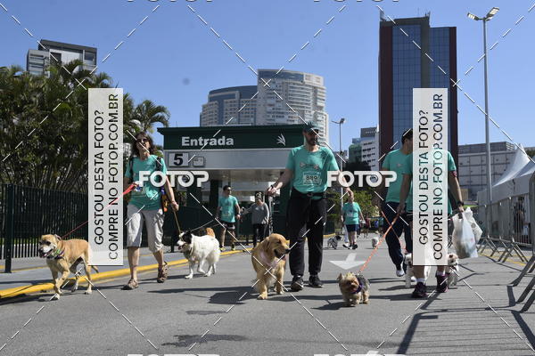Buy your photos of the event2� Pet Run Shopping Eldorado  on Fotop