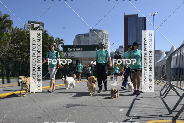 Buy your photos of the event2� Pet Run Shopping Eldorado  on Fotop