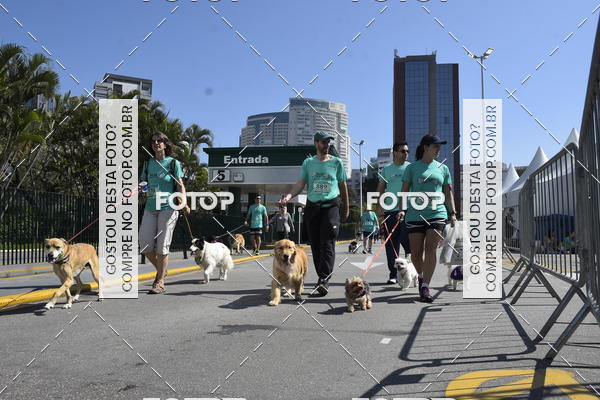 Buy your photos of the event2� Pet Run Shopping Eldorado  on Fotop