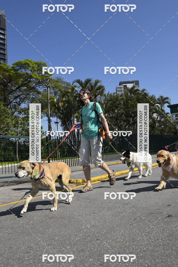 Buy your photos of the event2� Pet Run Shopping Eldorado  on Fotop