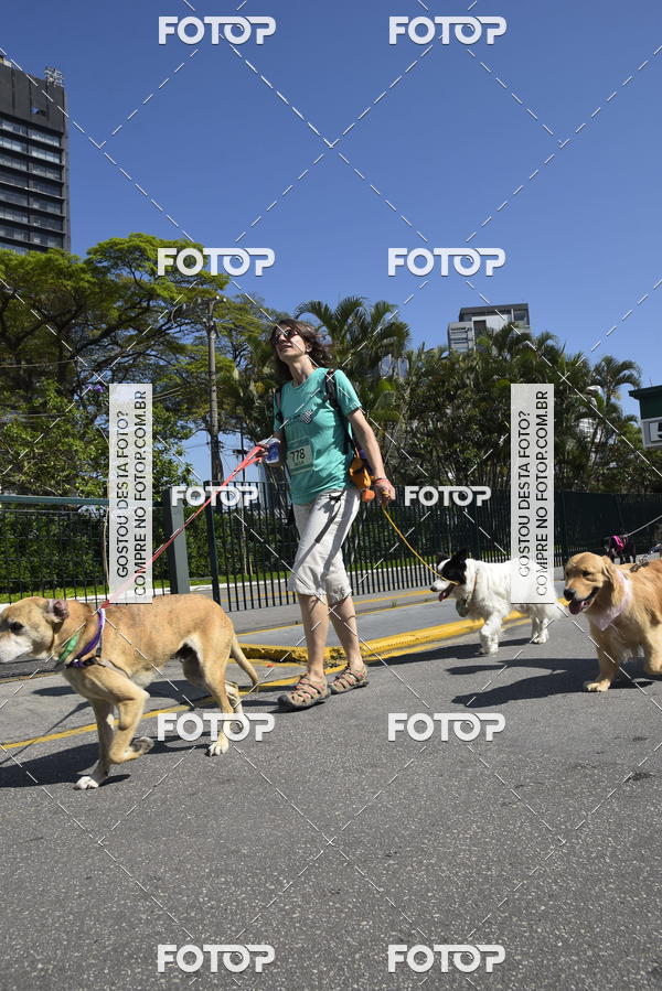 Buy your photos of the event2� Pet Run Shopping Eldorado  on Fotop