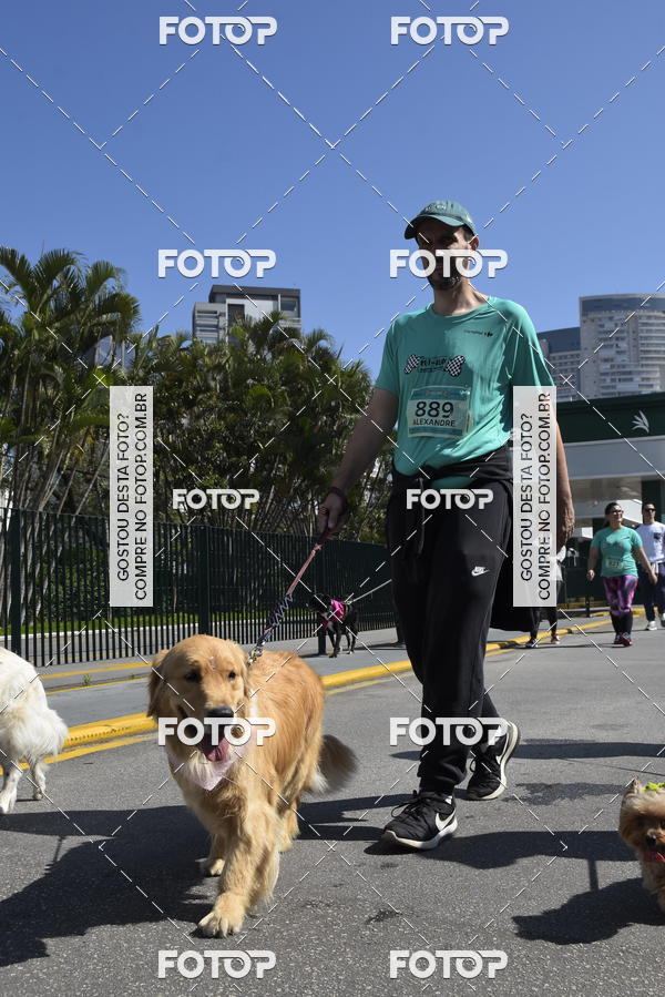Buy your photos of the event2� Pet Run Shopping Eldorado  on Fotop