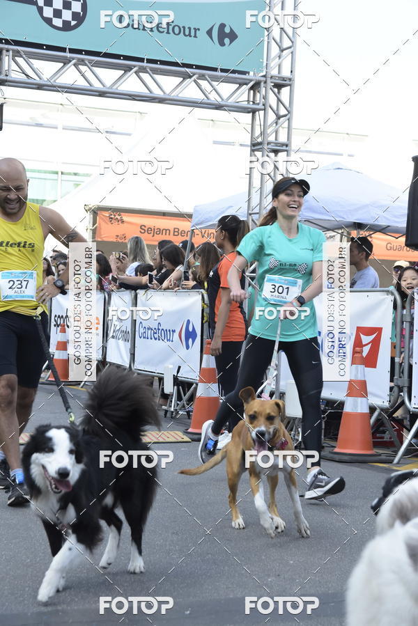Acquista le foto dell'evento2 Pet Run Shopping Eldorado  in Fotop