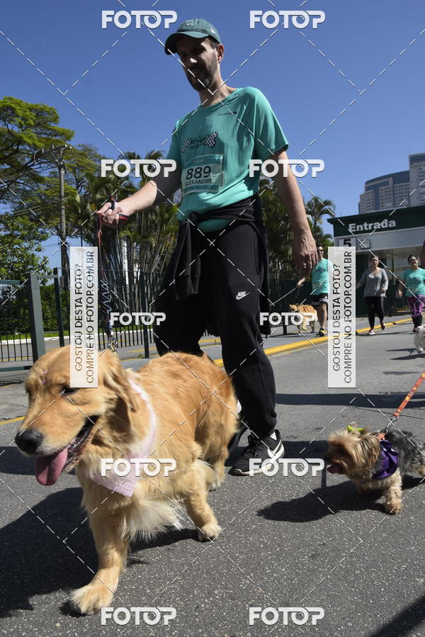 Buy your photos of the event2� Pet Run Shopping Eldorado  on Fotop