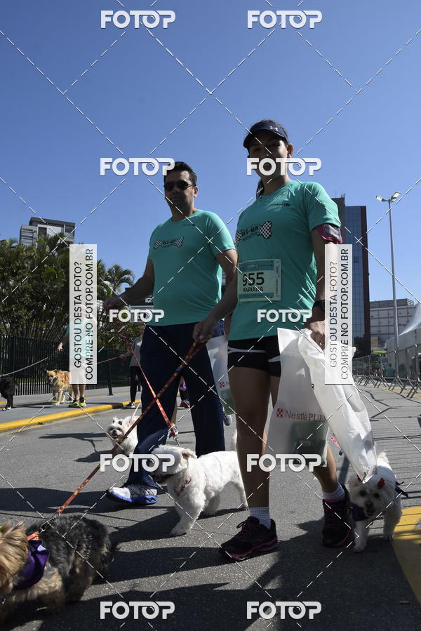 Buy your photos of the event2� Pet Run Shopping Eldorado  on Fotop