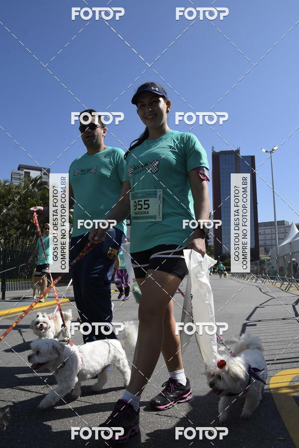 Buy your photos of the event2� Pet Run Shopping Eldorado  on Fotop