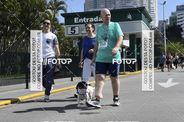 Buy your photos of the event2� Pet Run Shopping Eldorado  on Fotop