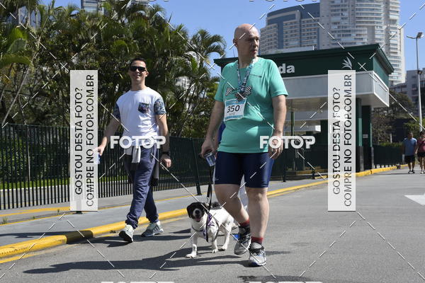 Buy your photos of the event2� Pet Run Shopping Eldorado  on Fotop