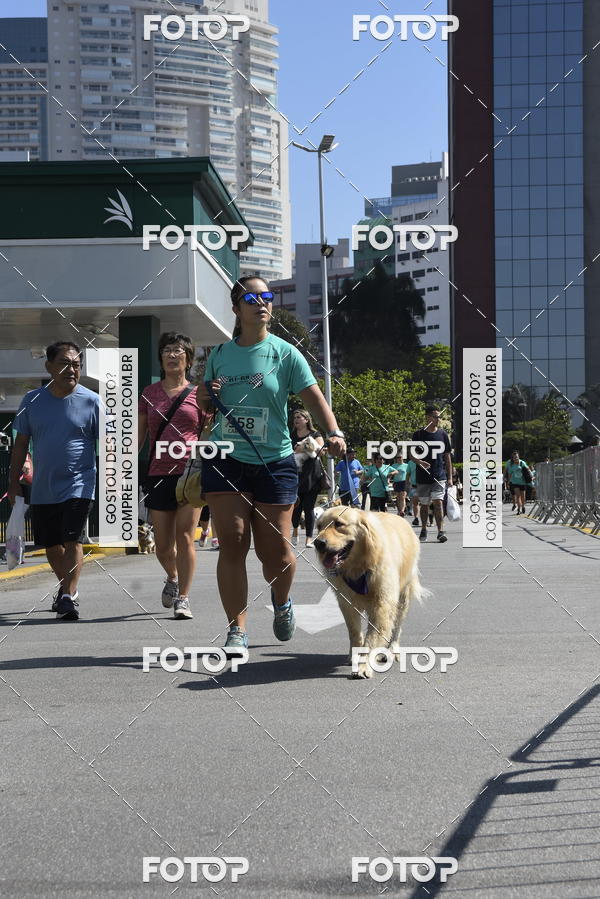 Buy your photos of the event2� Pet Run Shopping Eldorado  on Fotop