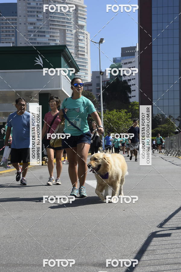 Buy your photos of the event2� Pet Run Shopping Eldorado  on Fotop