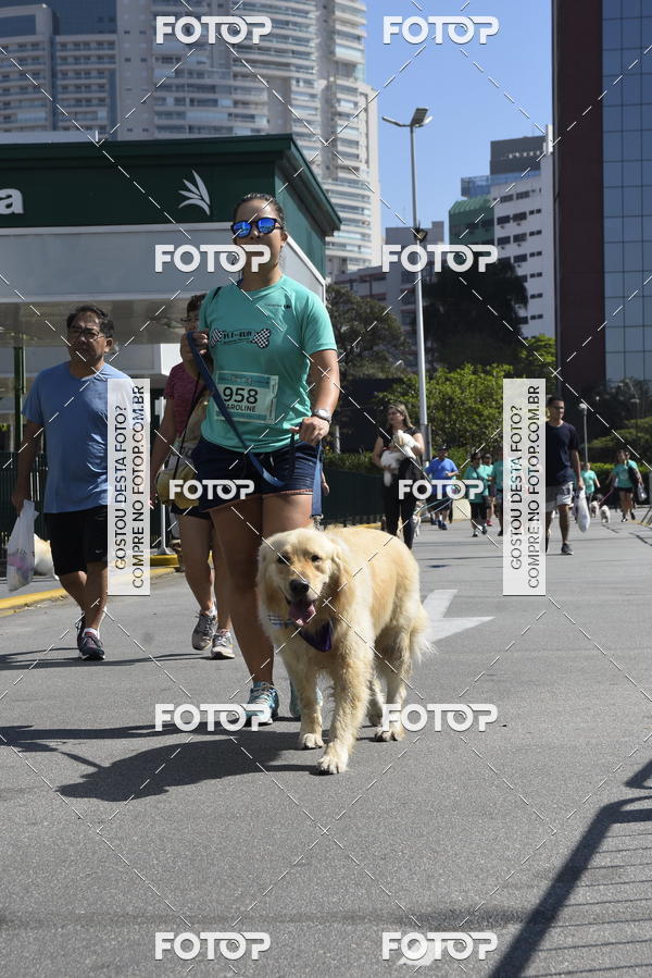 Buy your photos of the event2� Pet Run Shopping Eldorado  on Fotop