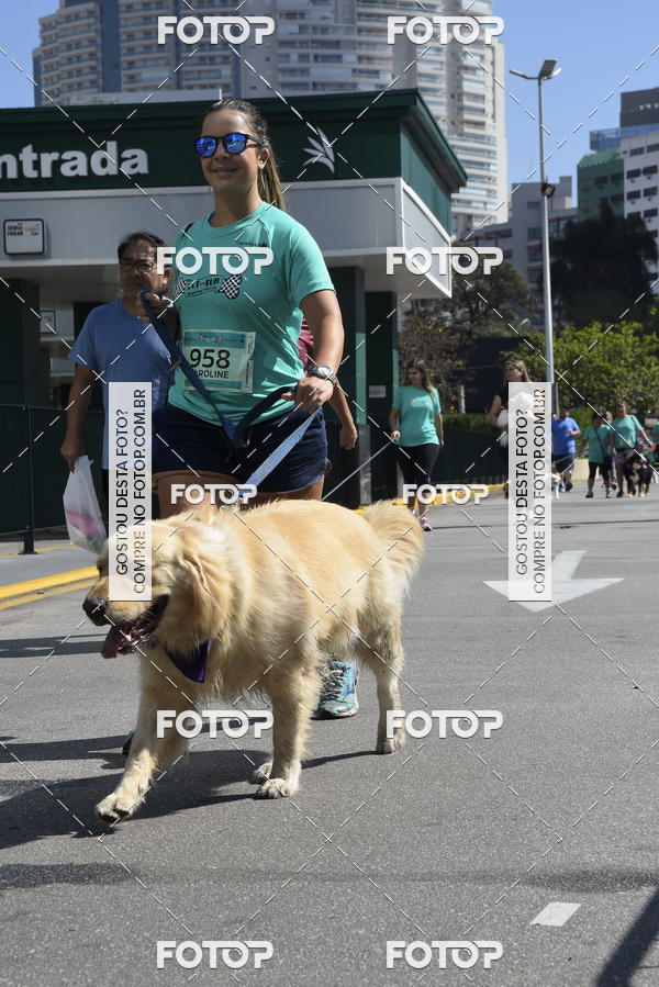 Buy your photos of the event2� Pet Run Shopping Eldorado  on Fotop