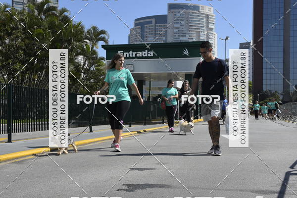 Buy your photos of the event2� Pet Run Shopping Eldorado  on Fotop