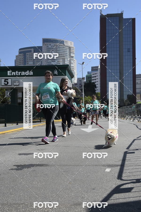 Buy your photos of the event2� Pet Run Shopping Eldorado  on Fotop