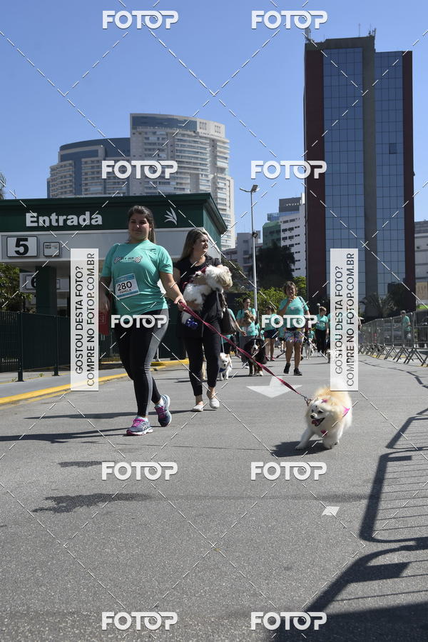 Buy your photos of the event2� Pet Run Shopping Eldorado  on Fotop