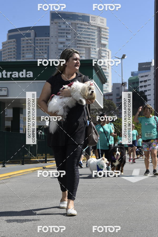 Buy your photos of the event2� Pet Run Shopping Eldorado  on Fotop