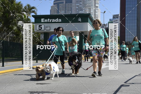 Buy your photos of the event2� Pet Run Shopping Eldorado  on Fotop