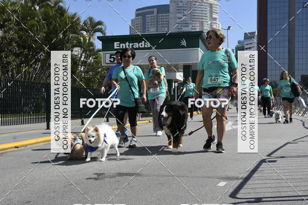 Buy your photos of the event2� Pet Run Shopping Eldorado  on Fotop