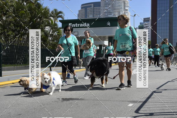 Buy your photos of the event2� Pet Run Shopping Eldorado  on Fotop