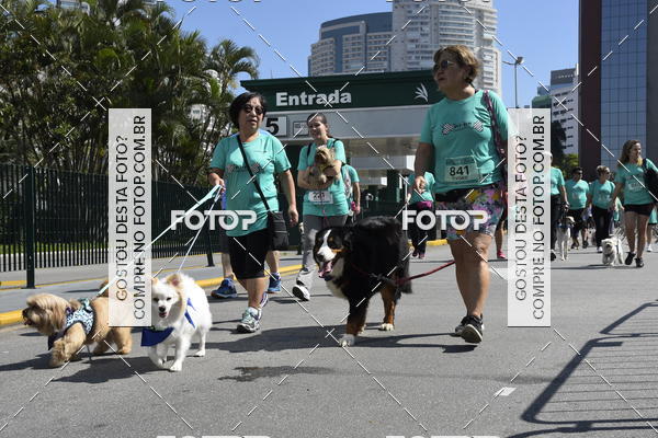 Buy your photos of the event2� Pet Run Shopping Eldorado  on Fotop