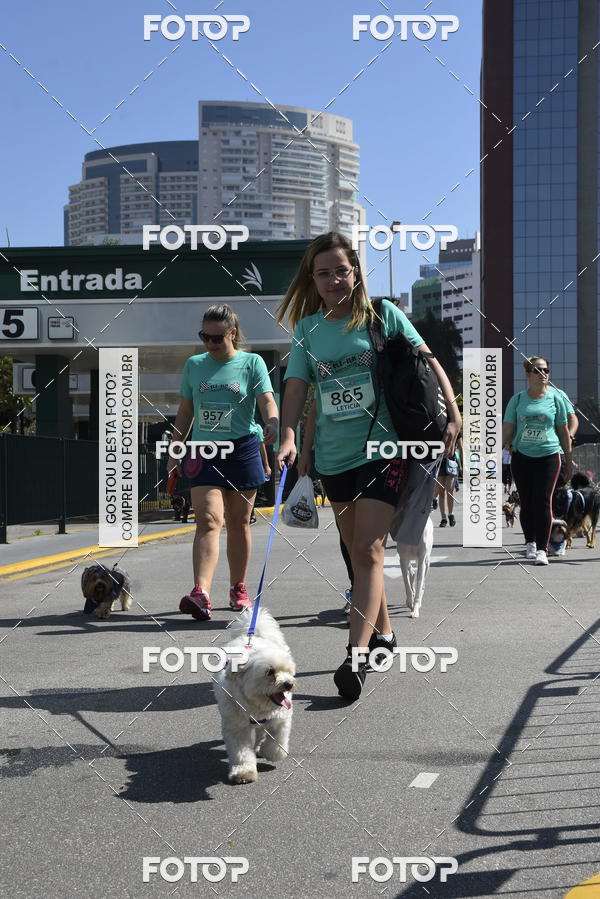 Buy your photos of the event2� Pet Run Shopping Eldorado  on Fotop