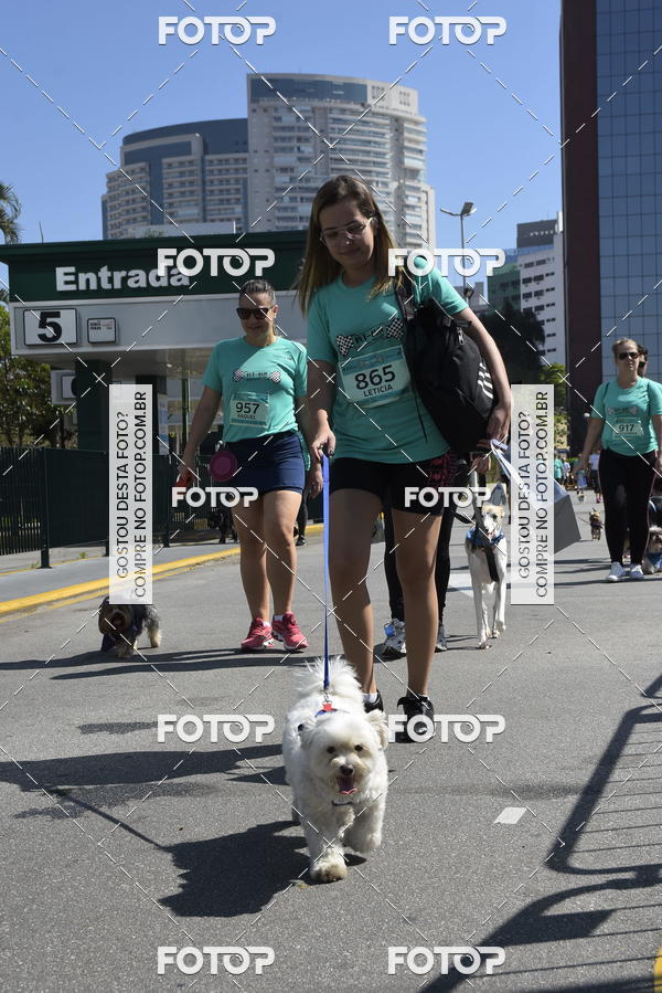 Buy your photos of the event2� Pet Run Shopping Eldorado  on Fotop