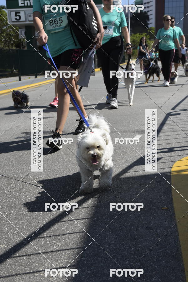 Buy your photos of the event2� Pet Run Shopping Eldorado  on Fotop