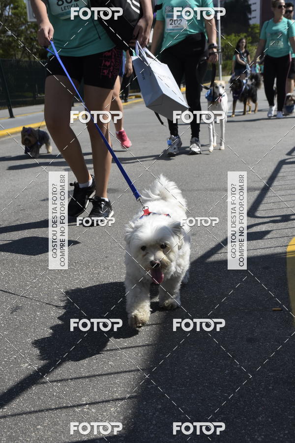 Buy your photos of the event2� Pet Run Shopping Eldorado  on Fotop