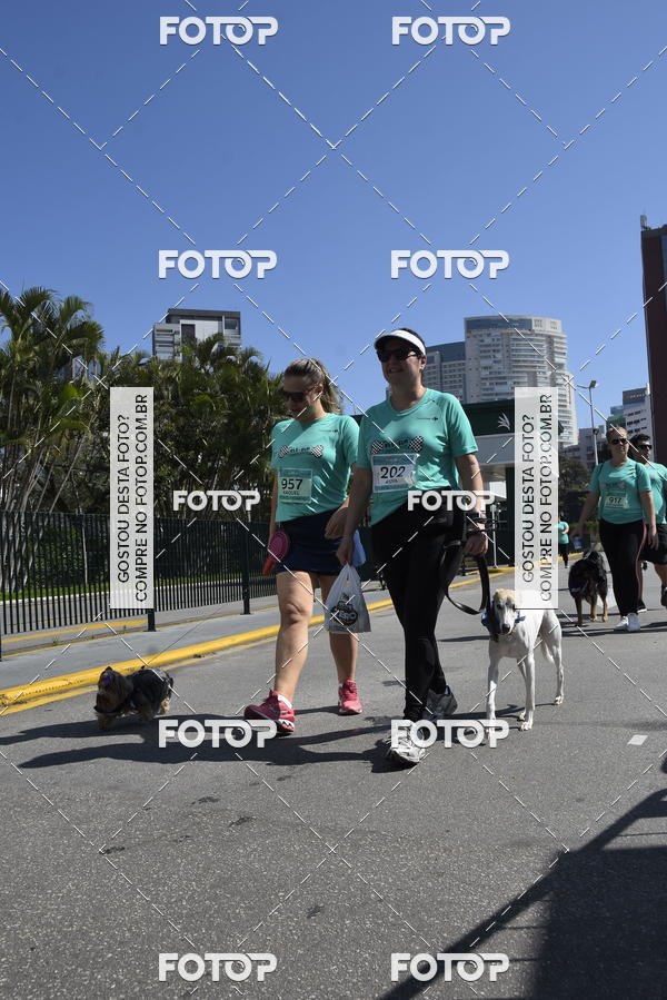 Buy your photos of the event2� Pet Run Shopping Eldorado  on Fotop