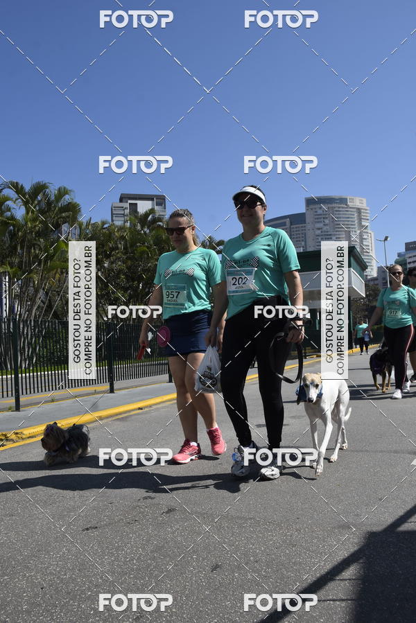 Buy your photos of the event2� Pet Run Shopping Eldorado  on Fotop
