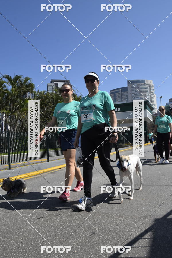 Buy your photos of the event2� Pet Run Shopping Eldorado  on Fotop
