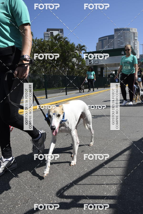 Buy your photos of the event2� Pet Run Shopping Eldorado  on Fotop