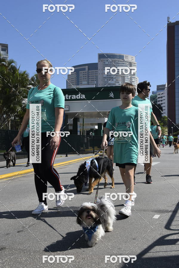 Buy your photos of the event2� Pet Run Shopping Eldorado  on Fotop