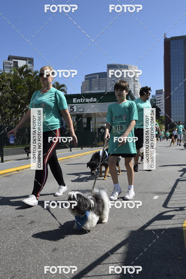 Buy your photos of the event2� Pet Run Shopping Eldorado  on Fotop