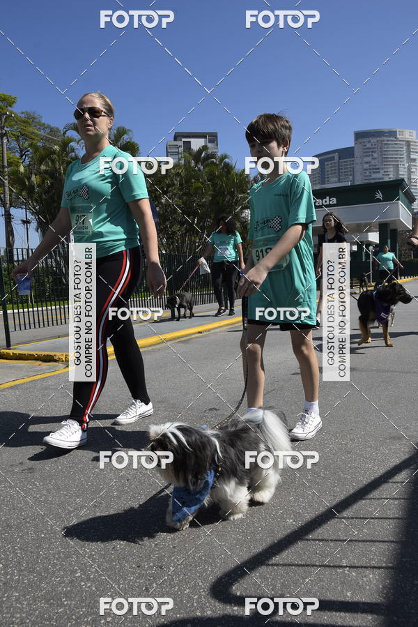 Buy your photos of the event2� Pet Run Shopping Eldorado  on Fotop