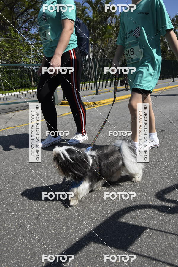 Buy your photos of the event2� Pet Run Shopping Eldorado  on Fotop