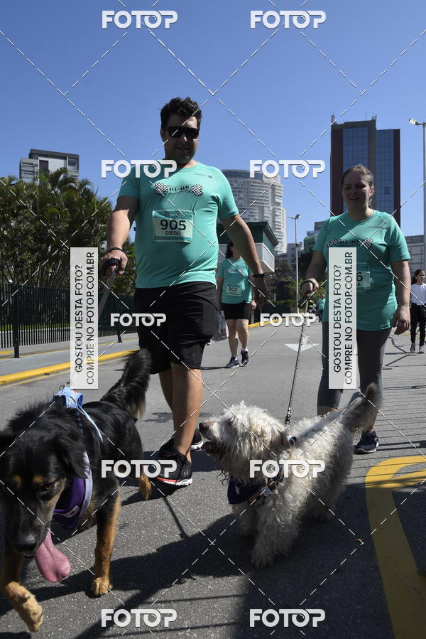 Buy your photos of the event2� Pet Run Shopping Eldorado  on Fotop