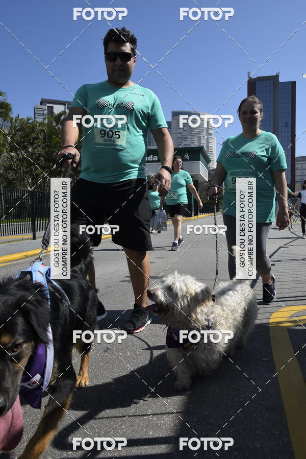 Buy your photos of the event2� Pet Run Shopping Eldorado  on Fotop