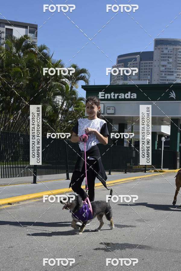 Buy your photos of the event2� Pet Run Shopping Eldorado  on Fotop