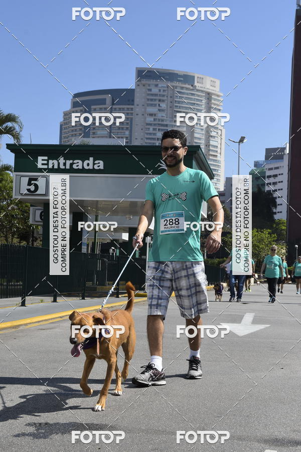 Buy your photos of the event2� Pet Run Shopping Eldorado  on Fotop